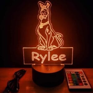 ScoobyAcrylic