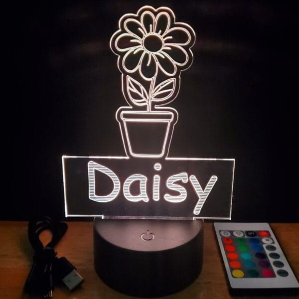 Daisy Flower