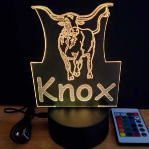 Longhorn Cow