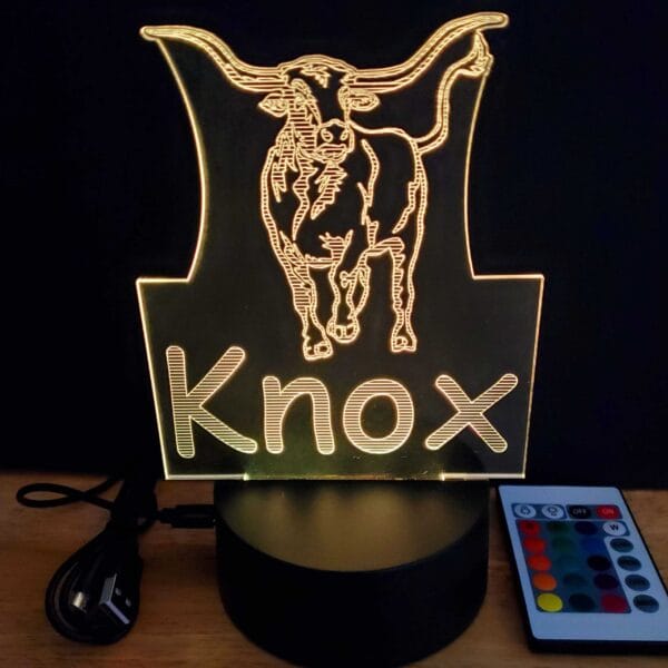 Longhorn Cow