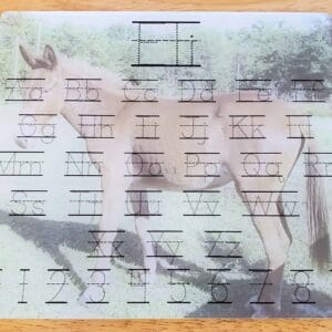 Horse Dry Erase