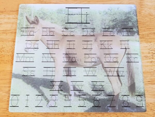 Horse Dry Erase