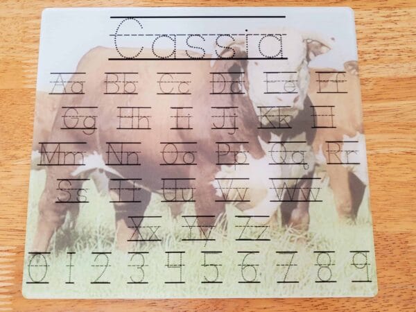 Herford Bull Dry Erase