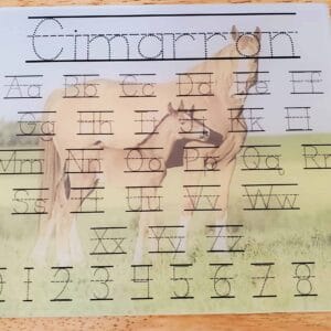 Mare and Foal Dry Erase
