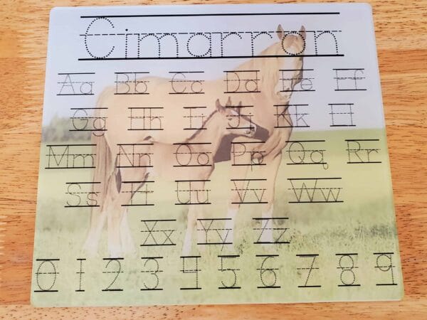 Mare and Foal Dry Erase