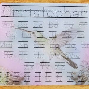 Hummingbird Dry Erase