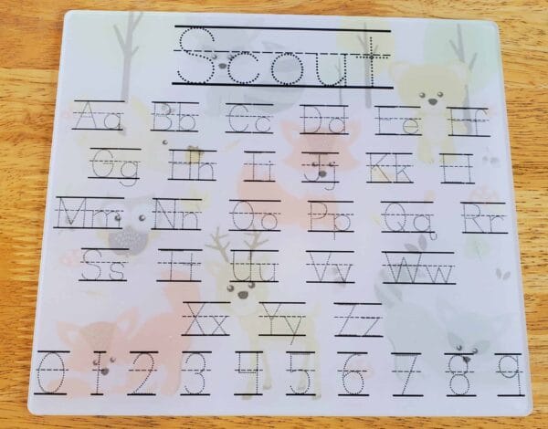 Woodland Animals Dry Erase