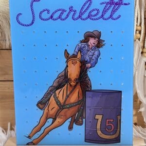 Barrel Racer Earring Holder