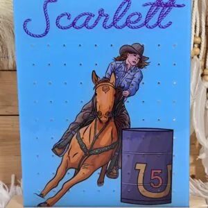 Barrel Racer Earring Holder