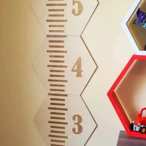 Growth Chart