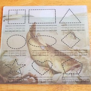 Catfish Fishing Dry Erase