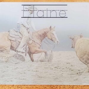 Cutting Horse Man Dry Erase