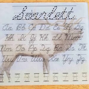 Elk Dry Erase