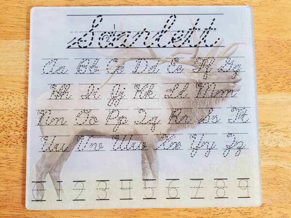Elk Dry Erase