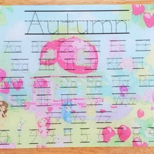 Strawberry Shortcake Dry Erase