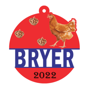 Chicken Ornament