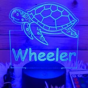 Sea Turtle