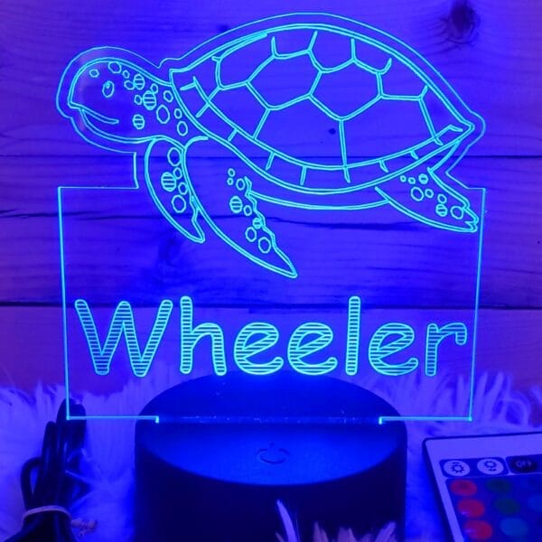 Sea Turtle