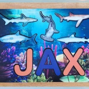 Sharks Puzzle
